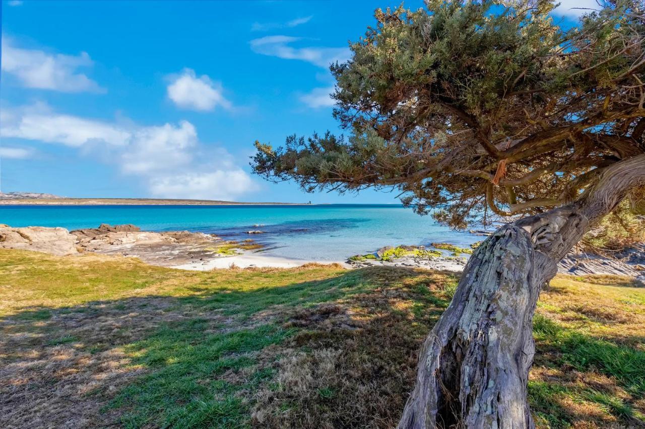 Sardinia Re - Villa Pelosa Stintino Exteriör bild
